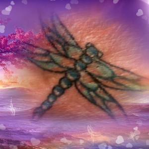 Meet your Posher, Patti